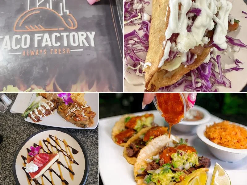 Norwalk Taco Factory business photo