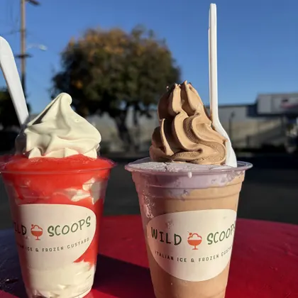 Wild Scoops, business photo 3