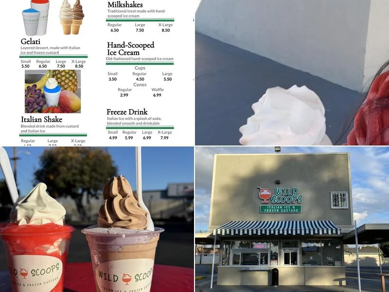 Wild Scoops business photo